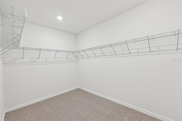 walk in closet with carpet