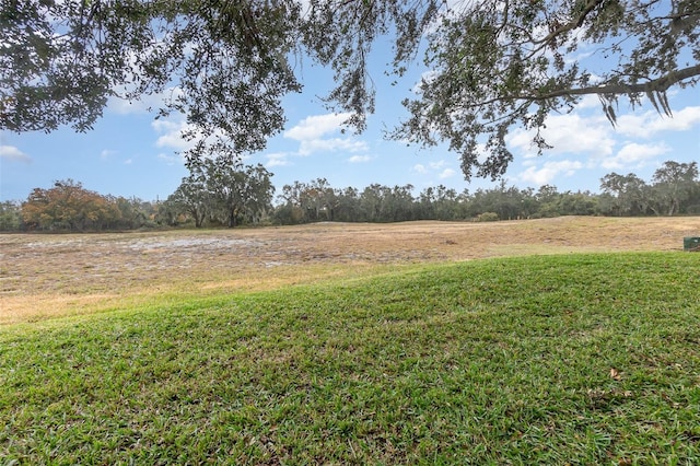 view of yard featuring a rural view