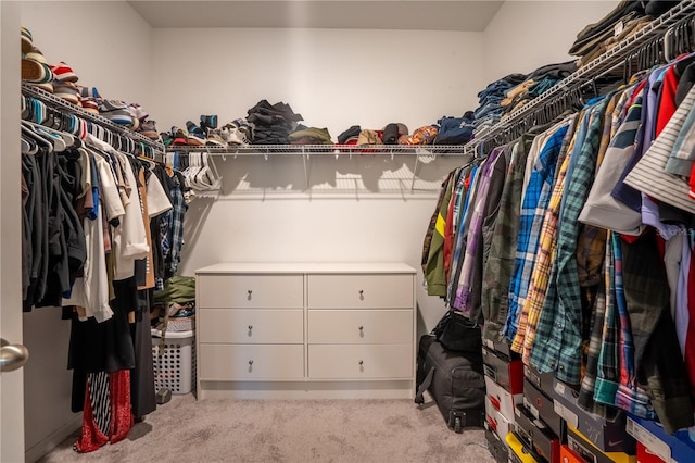 spacious closet with light colored carpet