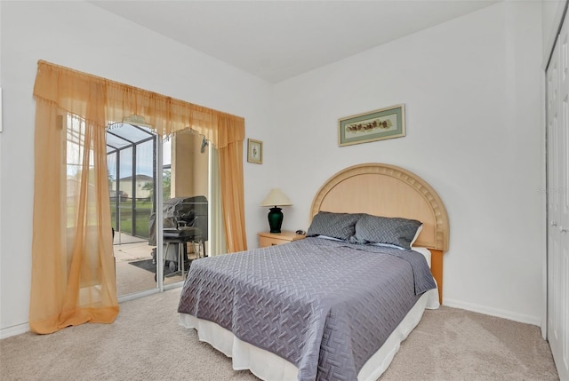 bedroom with carpet, access to outside, and a closet