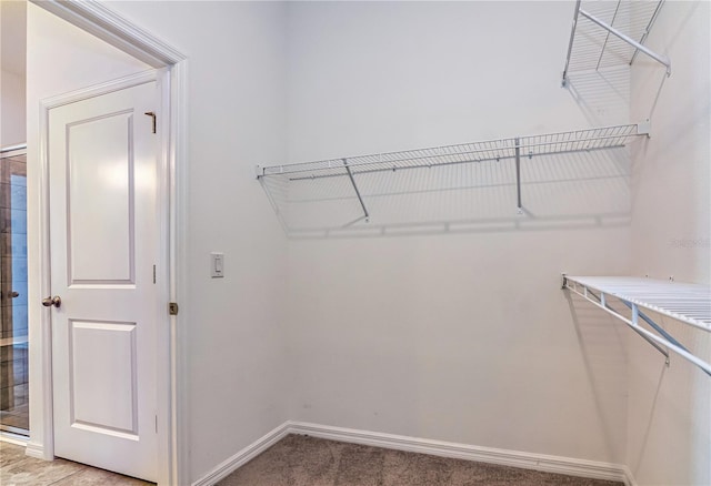 walk in closet featuring carpet