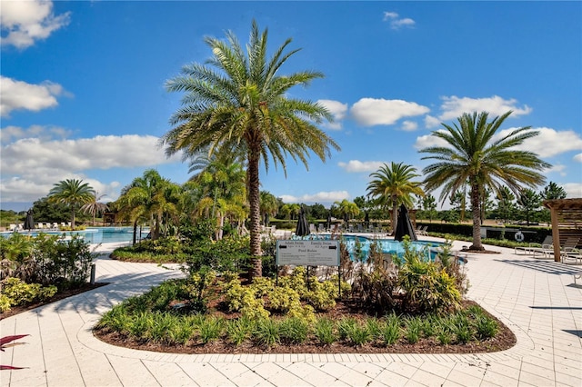 view of swimming pool