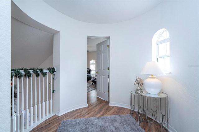 hallway with dark hardwood / wood-style floors and plenty of natural light