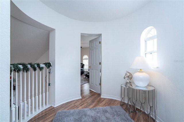 11410 Rapallo Ln, Windermere, FL 34786 - hall with wood finished floors