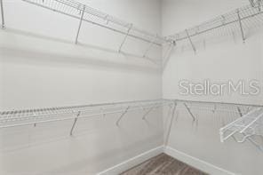 spacious closet with hardwood / wood-style floors