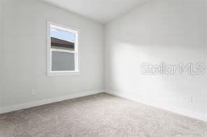 spare room with carpet floors