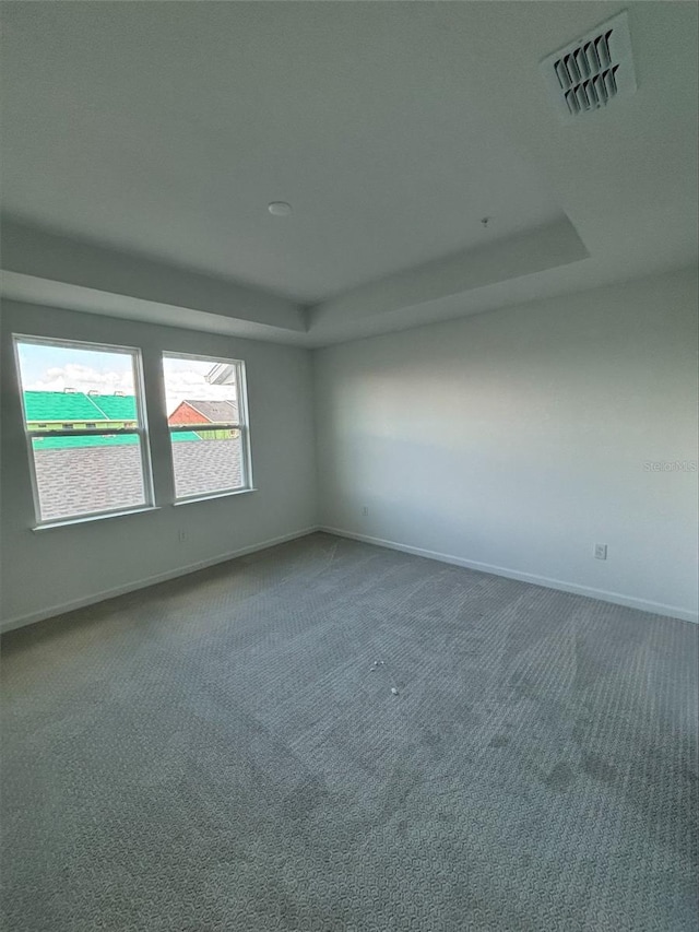 spare room featuring carpet flooring and a tray ceiling