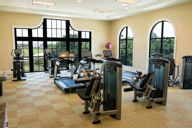 exercise room featuring a high ceiling, baseboards, and light colored carpet