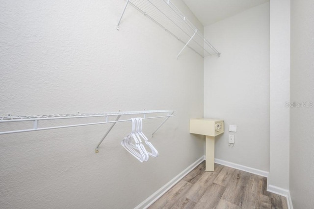 spacious closet with light wood-type flooring