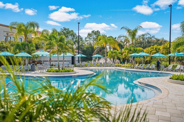 view of pool featuring a patio