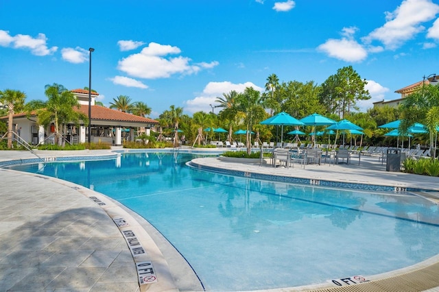 view of pool featuring a patio area