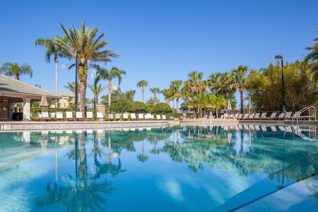 view of swimming pool