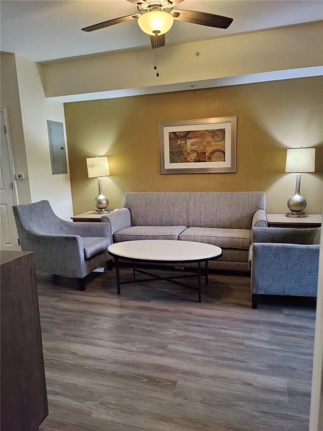 living room with ceiling fan, dark hardwood / wood-style flooring, and electric panel