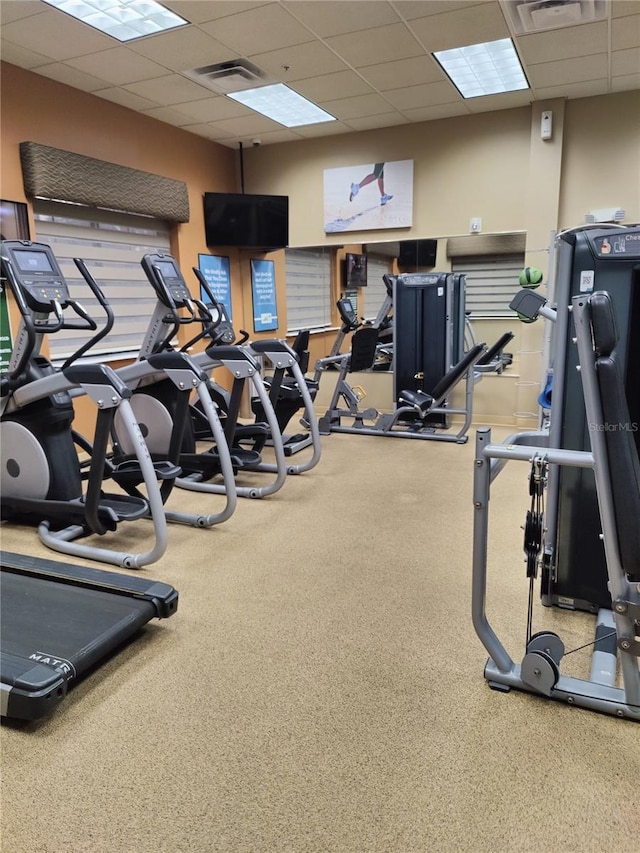 exercise room with a paneled ceiling and carpet floors