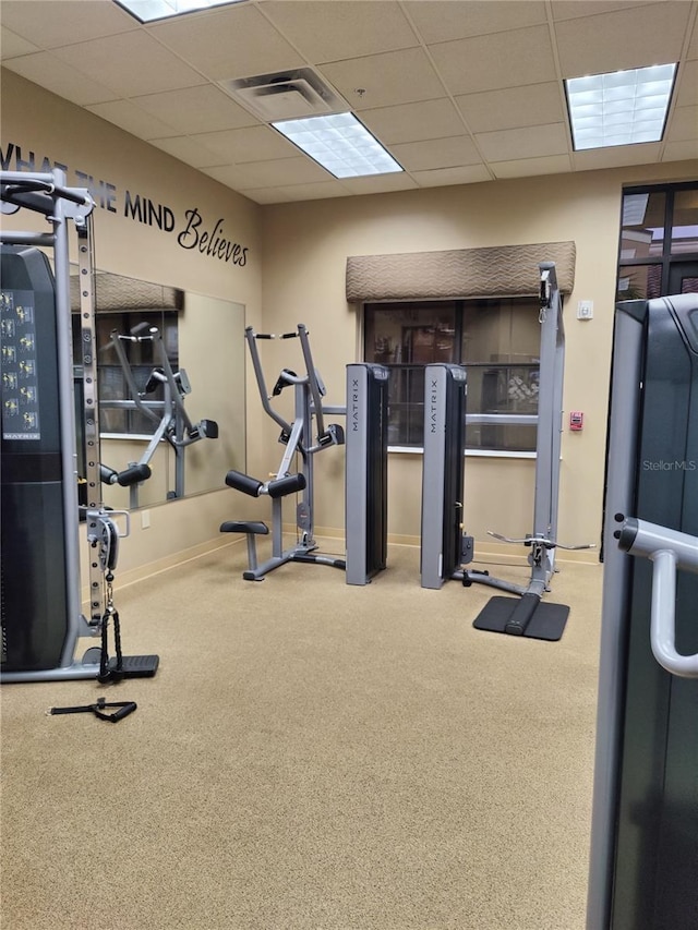 gym featuring a drop ceiling and carpet