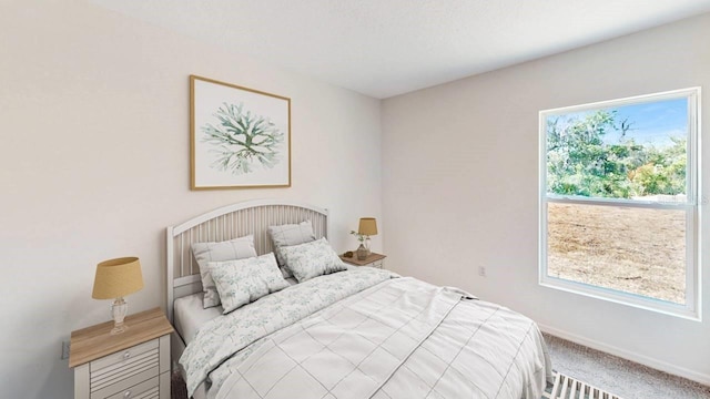 bedroom with carpet floors and multiple windows