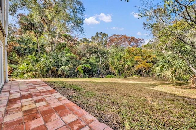 view of yard with a patio area