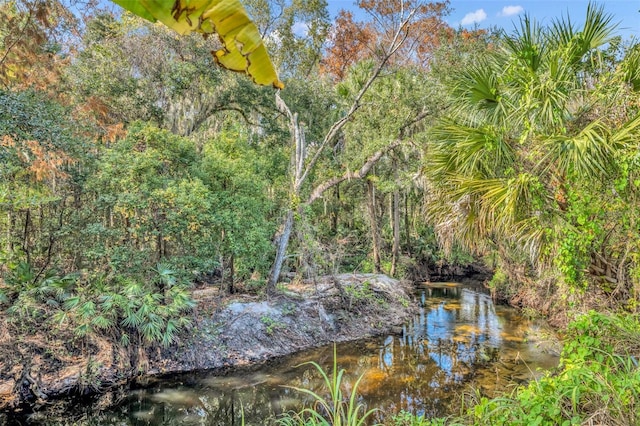 view of local wilderness featuring a view of trees