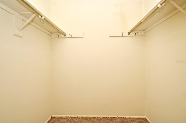 spacious closet featuring carpet flooring