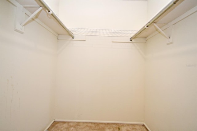 spacious closet with light colored carpet