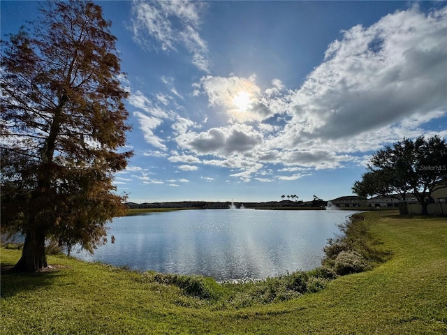 property view of water