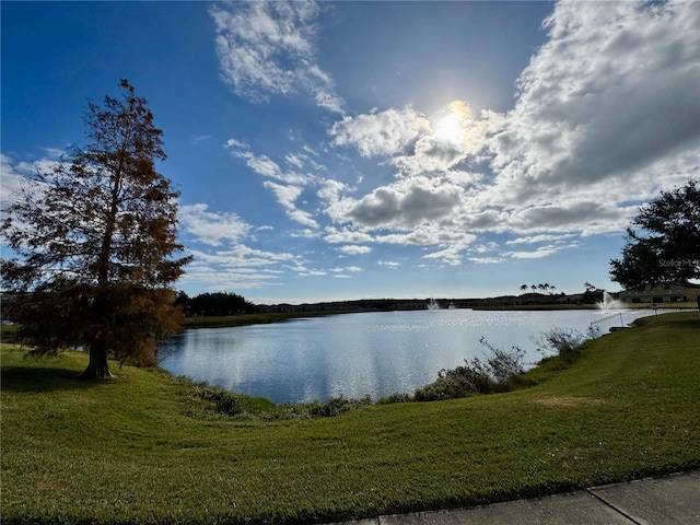 property view of water