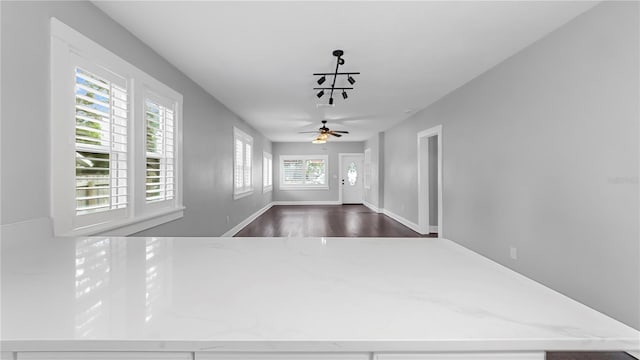 foyer with dark hardwood / wood-style floors, a wealth of natural light, and ceiling fan