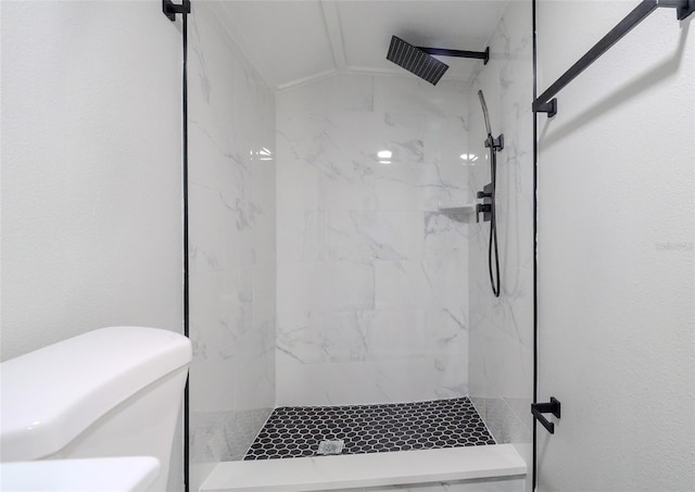 bathroom featuring toilet, vaulted ceiling, and tiled shower