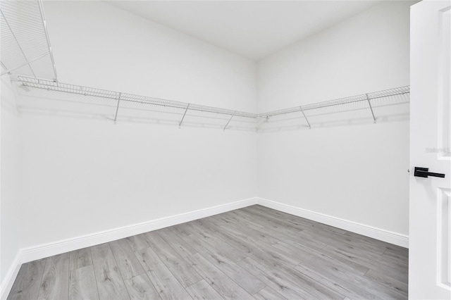 spacious closet featuring hardwood / wood-style flooring