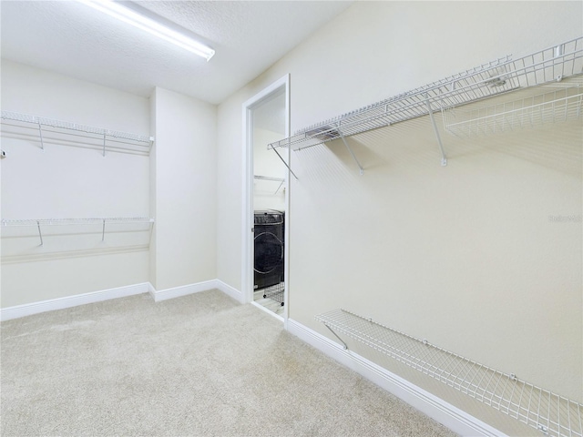 walk in closet with carpet flooring