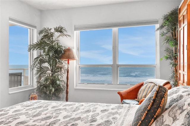 bedroom featuring a water view