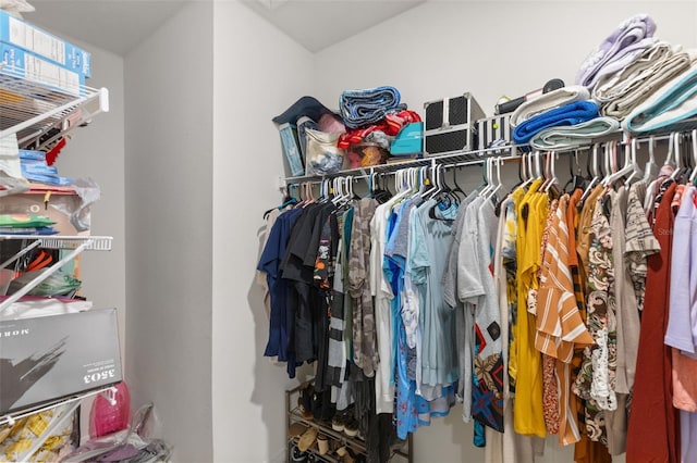 view of spacious closet