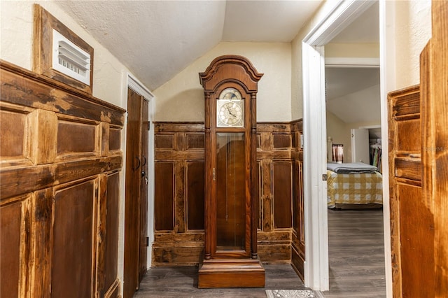 miscellaneous room with a textured ceiling, dark wood-type flooring, and vaulted ceiling