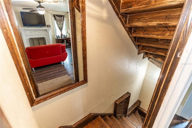 staircase with ceiling fan and hardwood / wood-style floors