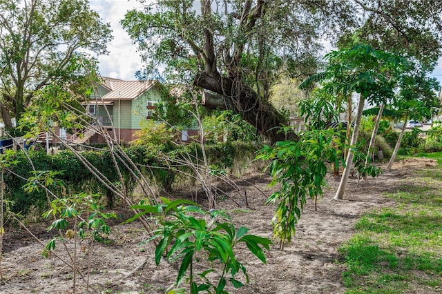 view of local wilderness