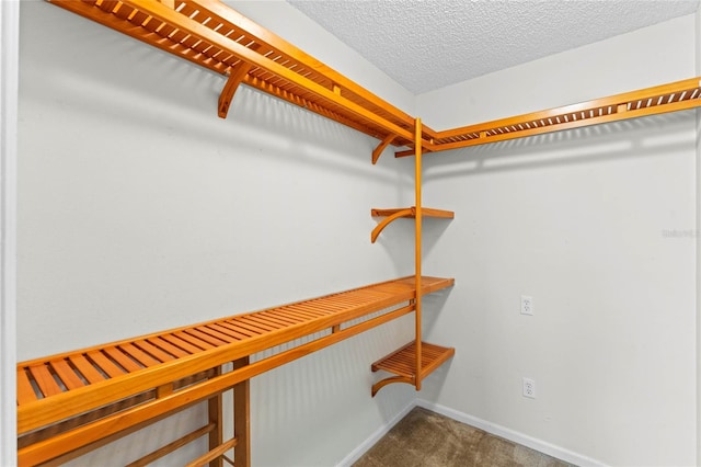 walk in closet featuring carpet