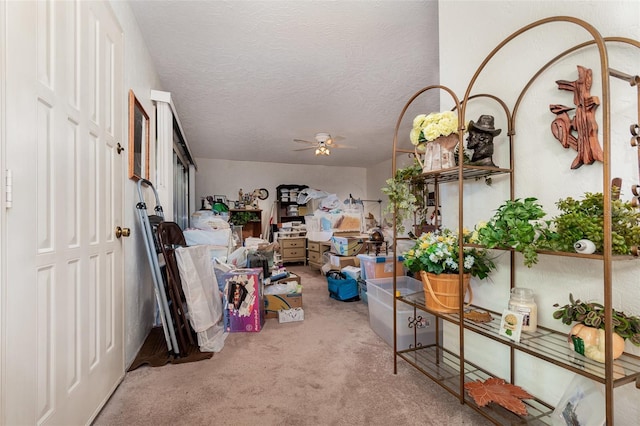 storage area featuring ceiling fan