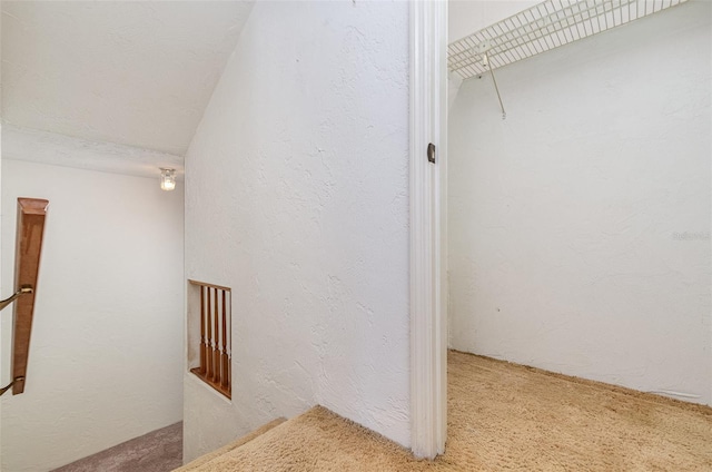 hallway featuring carpet flooring