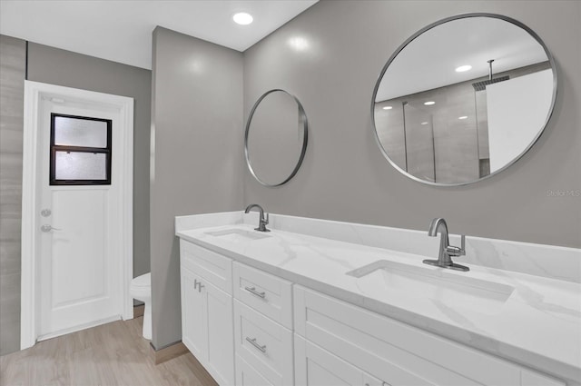 bathroom featuring vanity, toilet, and wood-type flooring