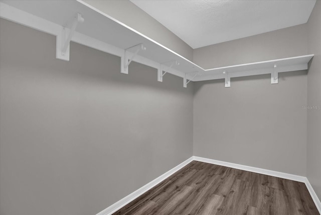 walk in closet featuring hardwood / wood-style floors