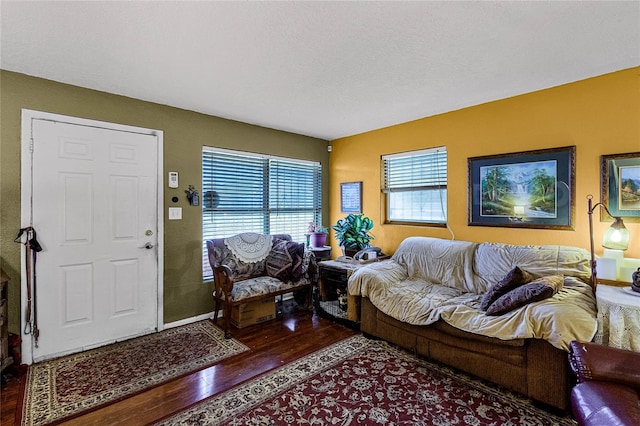 living room featuring dark hardwood / wood-style floors