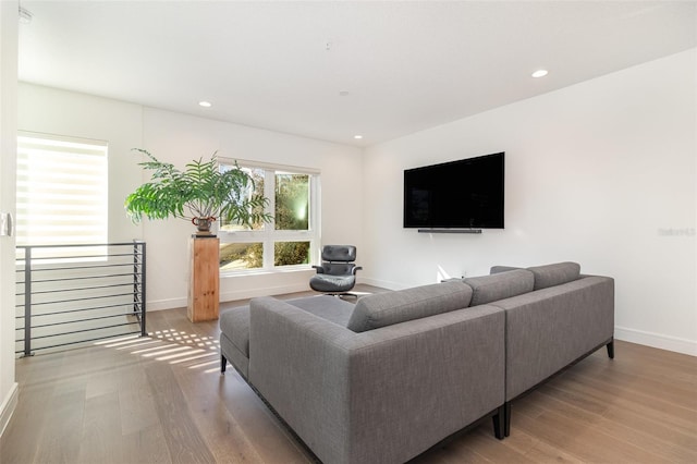 living room featuring hardwood / wood-style flooring