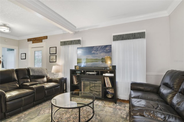 living room with crown molding, wood-type flooring, and a textured ceiling