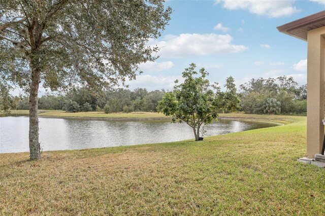 2920 Orangebud Dr, Kissimmee, FL 34746 - photo 38