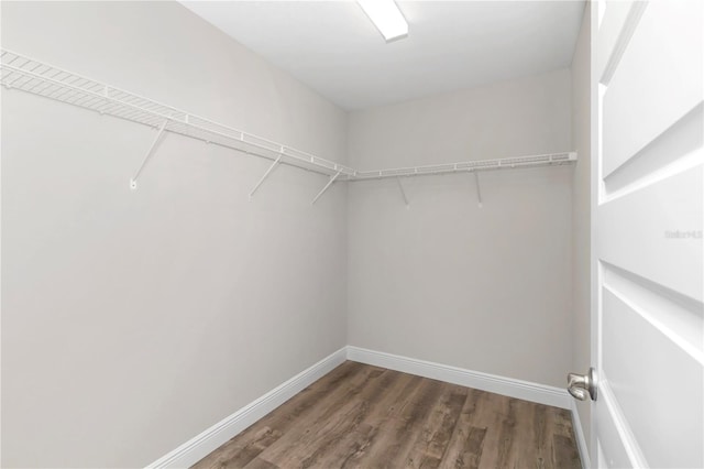 walk in closet with hardwood / wood-style flooring