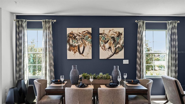 dining room with a wealth of natural light