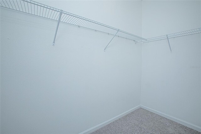 walk in closet featuring carpet