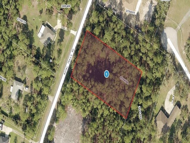 Royal Trails Rd, Eustis, FL 32736 - photo 5