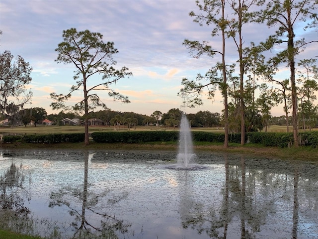 view of water feature