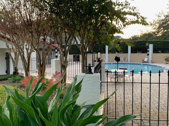 view of swimming pool with a patio